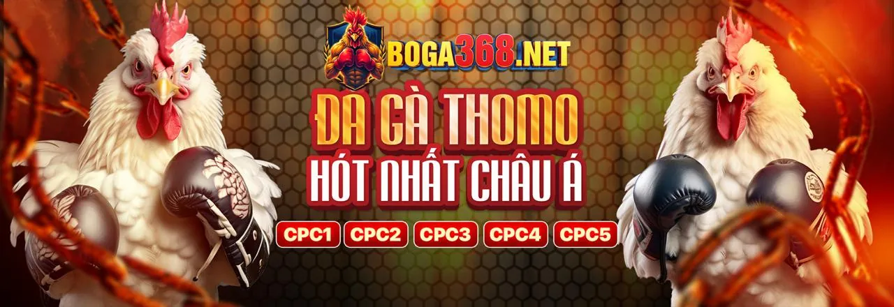 Đội ngũ hỗ trợ khách hàng chuyên nghiệp của k9k9 game